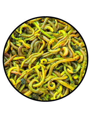 Fluo Worm Mix Natural