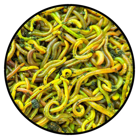 Fluo Worm Mix Scopex