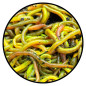 Fluo Worm Groot Scopex Fluo Worm Groot Scopex