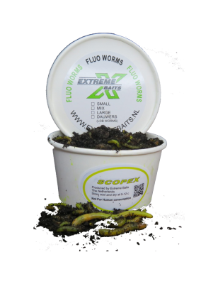 Fluo Worm Mix Scopex