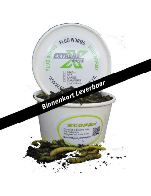 Fluo Worm Mix Scopex