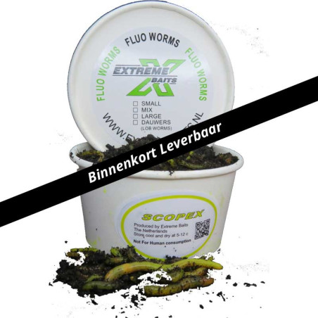 Fluo Worm Mix Scopex