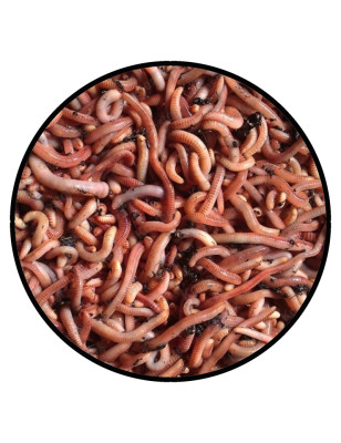 Wormen Mix Halve Bamibak