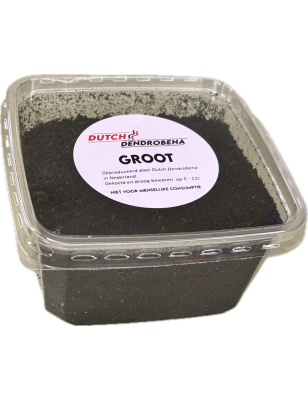 Wormen Groot Halve Bamibak