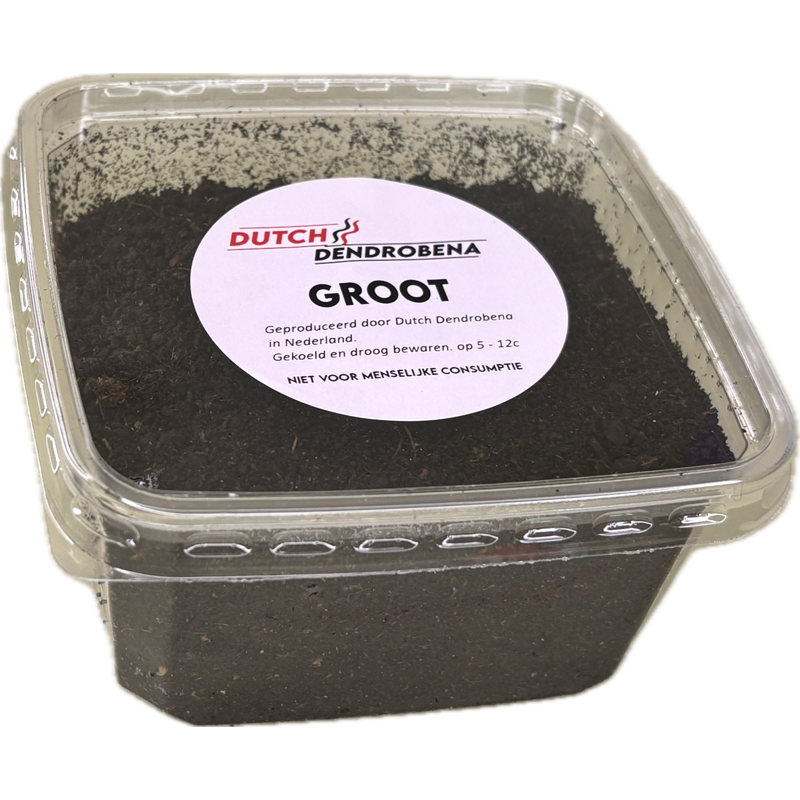 Wormen Groot Halve Bamibak Wormen Groot Halve Bamibak