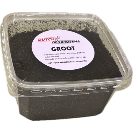 Wormen Groot Halve Bamibak